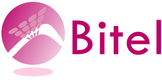Bitel SL Logo