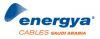 Energya Plastics Co. Logo
