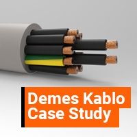 Control Cables Certification Case Study: Demes Kablo